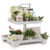 rectangle tiered tray